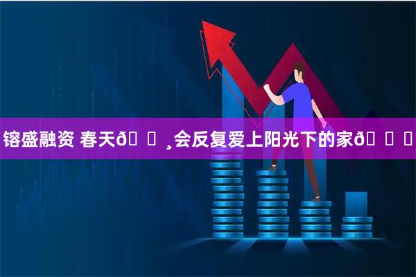 镕盛融资 春天🌸会反复爱上阳光下的家🌅