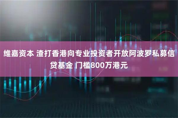 维嘉资本 渣打香港向专业投资者开放阿波罗私募信贷基金 门槛800万港元
