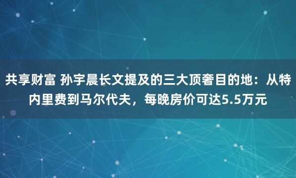 共享财富 孙宇晨长文提及的三大顶奢目的地：从特内里费到马尔代夫，每晚房价可达5.5万元